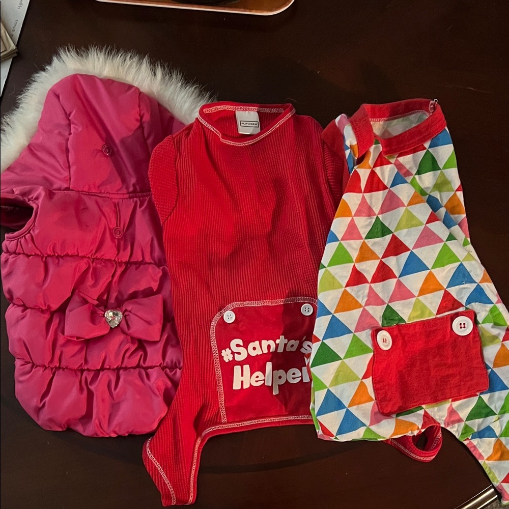 Colorful Dog Apparel Set